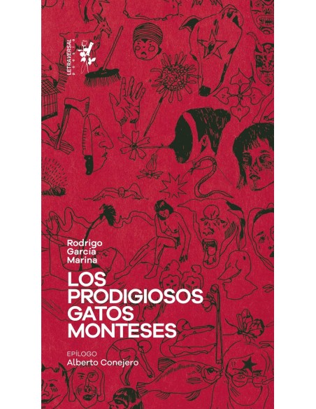 Los prodigiosos gatos monteses