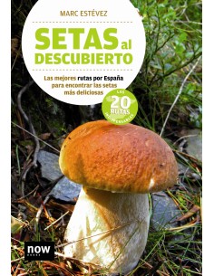 SETAS AL DESCUBIERTO