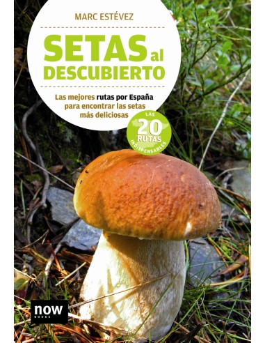 SETAS AL DESCUBIERTO