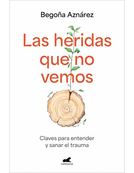 LAS HERIDAS QUE NO VEMOS