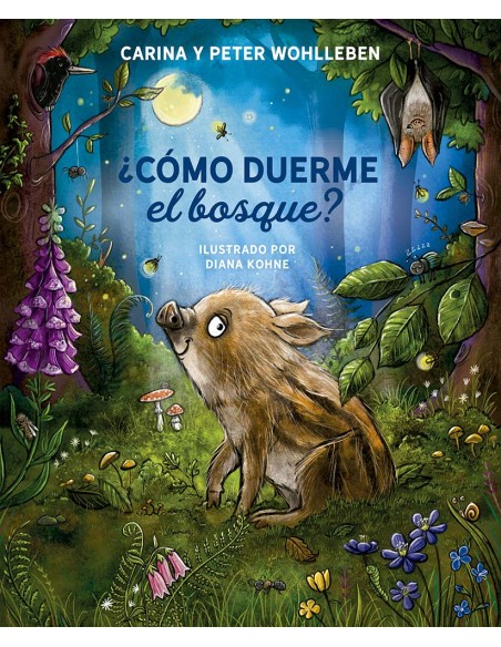 Como duerme el bosque