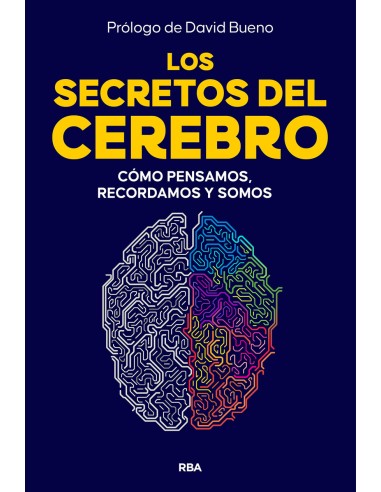 Los secretos del cerebro