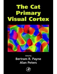 The cat primary visual cortex