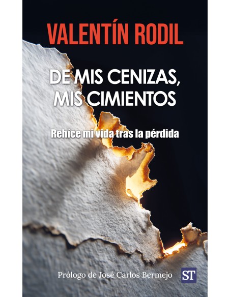 DE MIS CENIZAS MIS CIMIENTOS