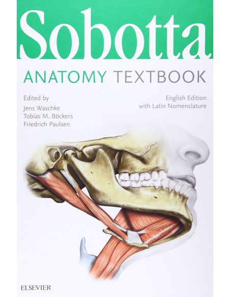 SOBOTTA ANATOMY TEXTBOOK