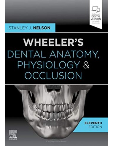 WHEELER S DENTAL ANATOMY PHYSIOLOGY AND OCCLUISION