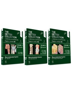 3VOLMUSCULOSKELETAL SYSTEM PACKAGENETTER COLLECTION