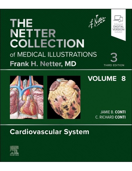 Netter collection of medicAL illustrations cardiovascular