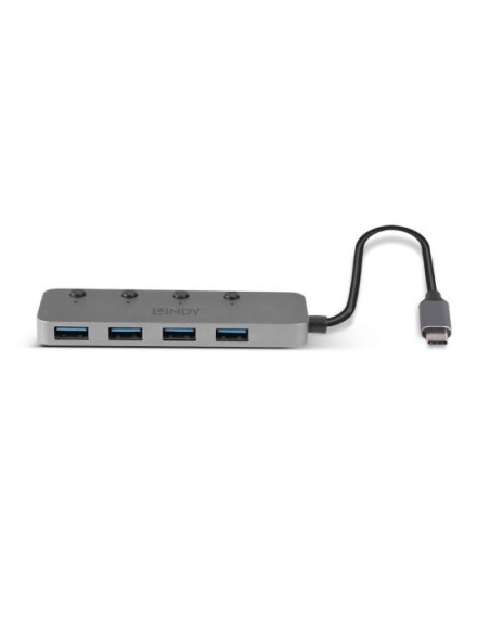 43383 hub de interfaz USB 3.2 Gen 1 (3.1 Gen 1) Type-C 5000 Mbit/s Gris