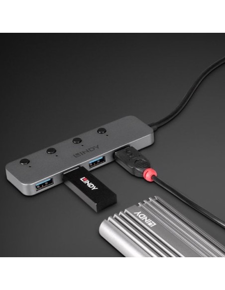 43383 hub de interfaz USB 3.2 Gen 1 (3.1 Gen 1) Type-C 5000 Mbit/s Gris