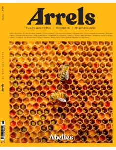 ALPES MAS ALLA DE LOS LIMITES