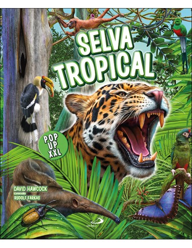 Selva tropical pop up XXL