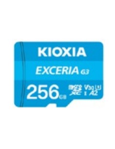 EXCERIA G3 256 GB MicroSDXC UHS-I Clase 10
