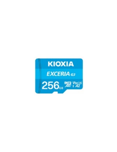 EXCERIA G3 256 GB MicroSDXC UHS-I Clase 10