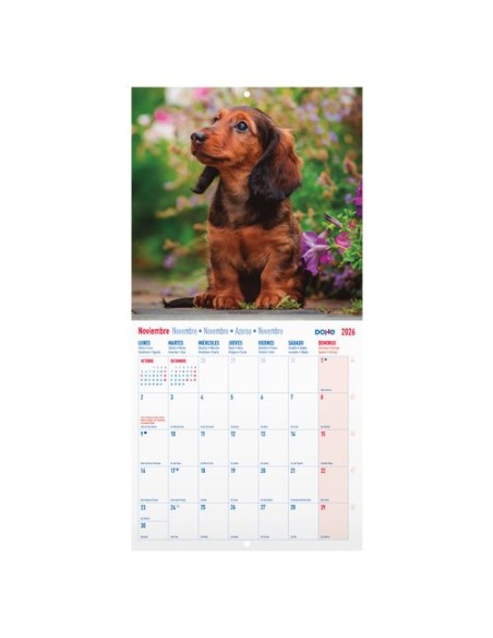 CAL.DOHE PARED MES 300x300 PERROS