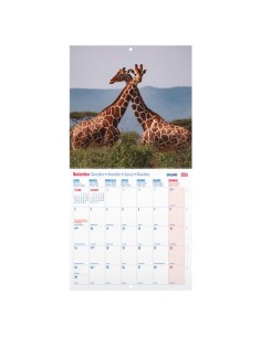 CAL.DOHE PARED MES 300x300 FAUNA SALVAJE