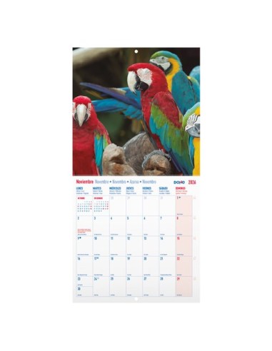 CAL.DOHE PARED MES 300x300 AVES EXOTICAS