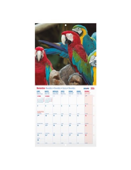 CAL.DOHE PARED MES 300x300 AVES EXOTICAS