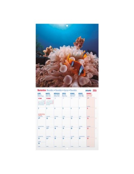 CAL.DOHE PARED MES 300x300 PAISAJES EXOT