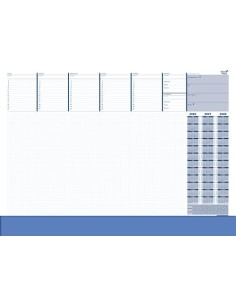 CAL.QUO VADIS VADE 50H 595x420 cm S/V