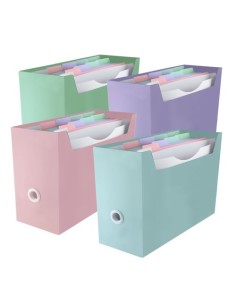 ORGANIZADOR CARP. BLUSH SURT.4 COL - Pack de 4 unidades