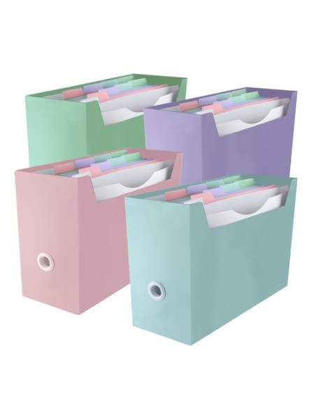 ORGANIZADOR CARP. BLUSH SURT.4 COL - Pack de 4 unidades