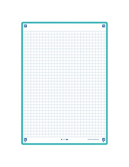 FICHAS OXFORD REVISION A5 HZ. ICE (30)