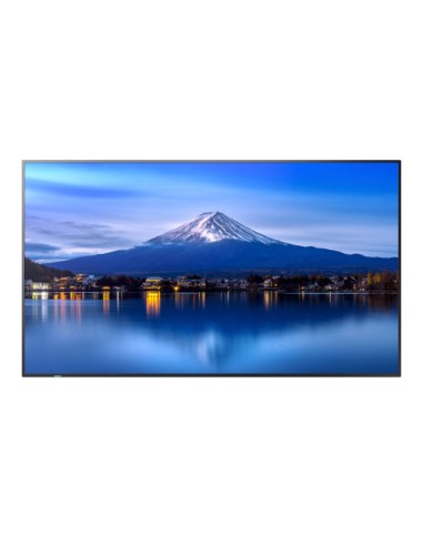 SHARP-NEC PROFESSIONAL LARGE FORMAT DISPLAYS PN-P556, 55 P-SERIES LFD, UHD, 700CD/M2, D-LED BACKLIGHT, 24/7 PROOF, SDM SLOT, CM-