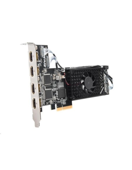 AVERMEDIA CAPTURADORA DE VIDEO PRPFESIONAL CL314H1 PCI LOW PROFILE (61CL314HA1AR)