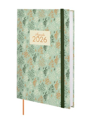 AG.F. DYNAMIC BERLIN Y10 D/P TRIGO