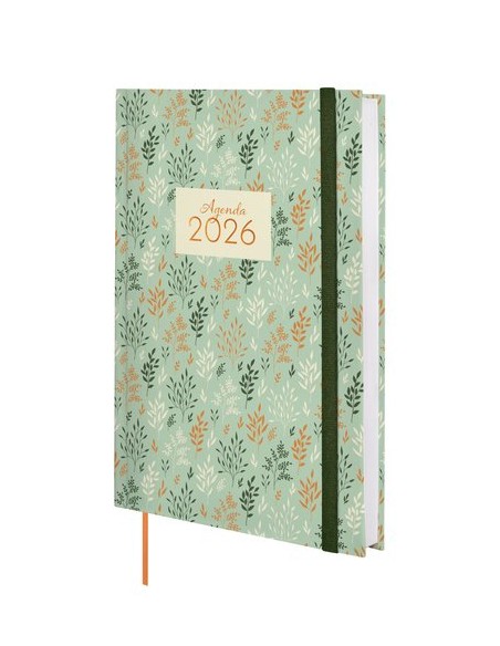 AG.F. DYNAMIC BERLIN Y10 D/P TRIGO