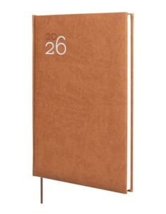 AG.F. DYNAMIC MILANO Y11 S/V MARRON