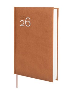 AG.F. DYNAMIC MILANO Y10 D/P MARRON