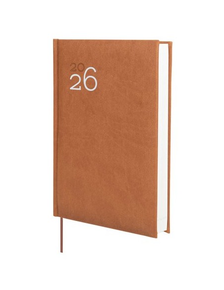 AG.F. DYNAMIC MILANO Y10 D/P MARRON