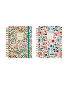 AG.ESC.F. TRENDY MONIQUILLA SURT. PACK 4