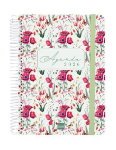 AG.F. CLOE E10 D/P VERDE