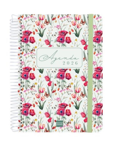 AG.F. CLOE E10 D/P VERDE