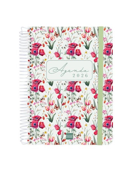 AG.F. CLOE E10 D/P VERDE