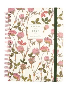 AG.F. MONIQUILLA E10 S/V AMAPOLA