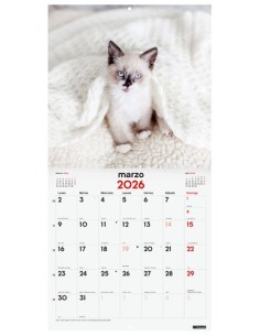 CAL.FIN. PARED 300x300 GATITOS