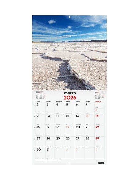 CAL.FIN. PARED 300x300 NATURALEZA