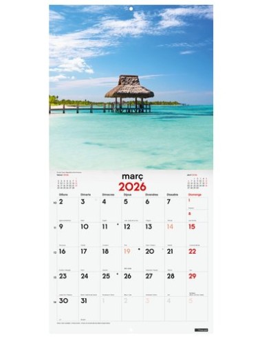 CAL.FIN.CAT. PARET 300x300 P.PARADISIACS