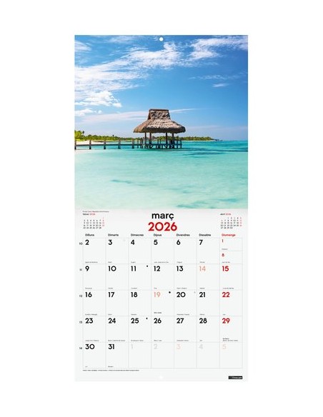 CAL.FIN.CAT. PARET 300x300 P.PARADISIACS