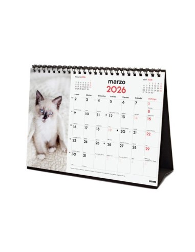 CAL.FIN. SOBR. 210x150 GATITOS