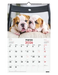 CAL.FIN. PARED 250x400 CACHORROS