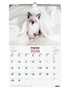 CAL.FIN. PARED 250x400 GATITOS