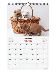 CAL.FIN. PARED 250x400 PERROS Y GATOS