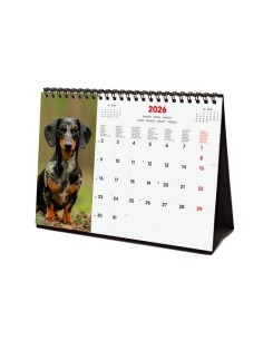 CAL.FIN. INT. SOBR. 210x150 DOGS