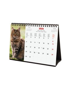 CAL.FIN. INT. SOBR. 210x150 CATS