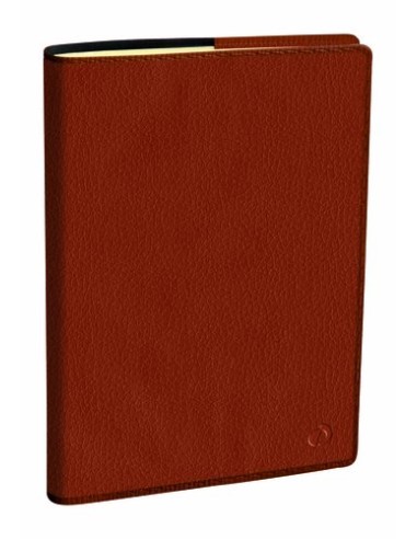 AG.QUO VADIS NOTE 27 210x270 S/V CAMELLO